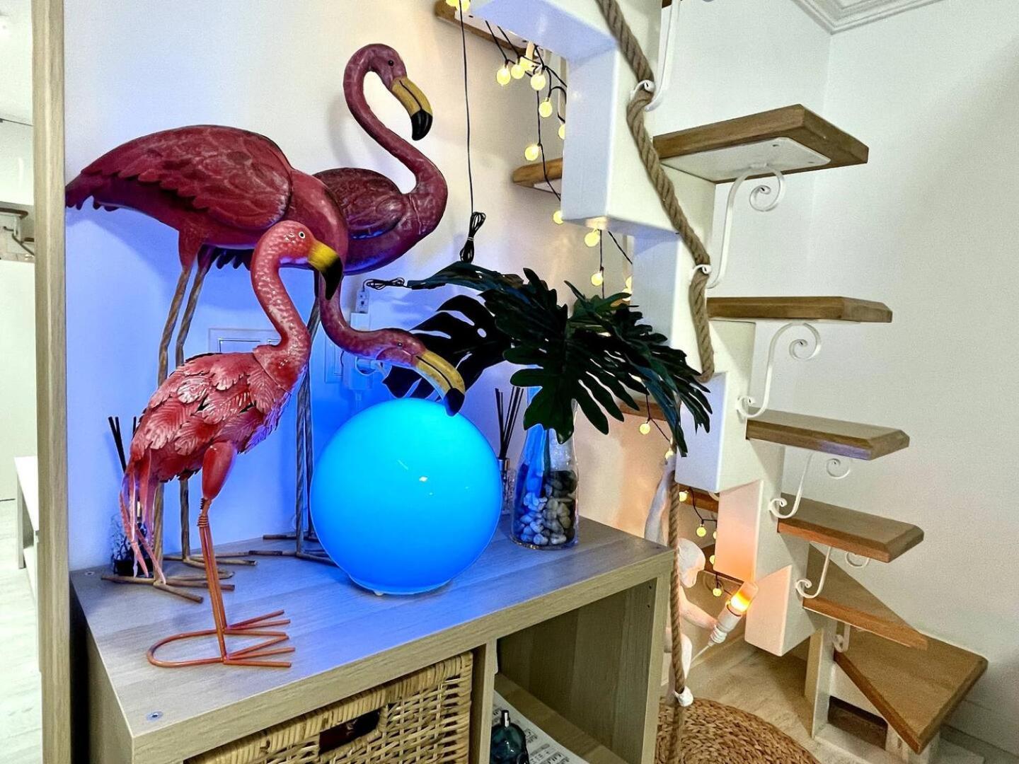 Los Flamencos, Malasana Loft Madrid 45Mq Zewnętrze zdjęcie
