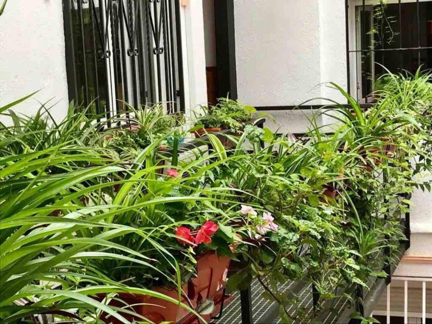 Los Flamencos, Malasana Loft Madrid 45Mq Zewnętrze zdjęcie